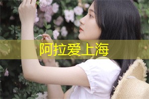 上海公司潮流聚焦：时尚达人们争相打卡的热门场所!