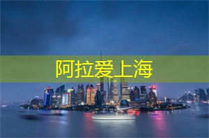 爱上海同城论坛：上海同城最具创意的艺术装置，每一件作品都是城市的视觉盛宴！