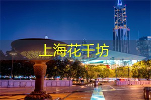 霓虹下的诗意——上海夜生活