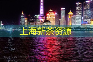 “树医”为沪上最大规模悬铃木古树群“体检开方”静安公园32株古树即将治“老年病”播报文章