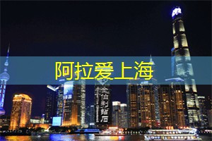 爱上海后花园：颠覆传统旅游：探索上海后花园的创意之旅