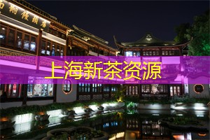 探索上海的夜班车与微型公交