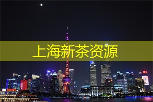 关注身心健康：上海的瑜伽文化